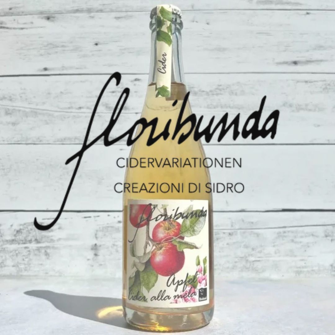 Floribunda Cider (Italy)