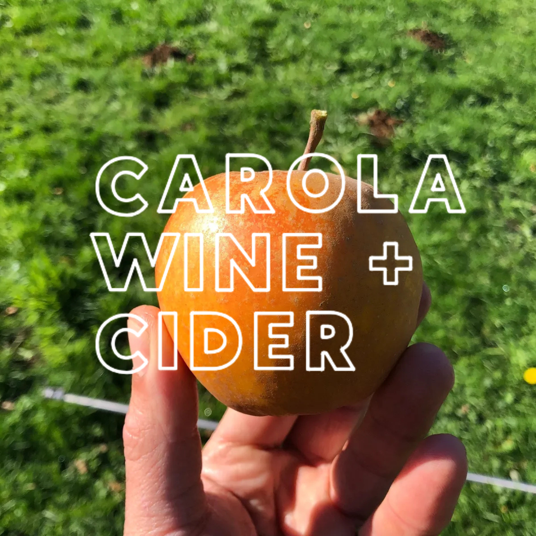 Carola Wine + Cider (Oregon Coast)