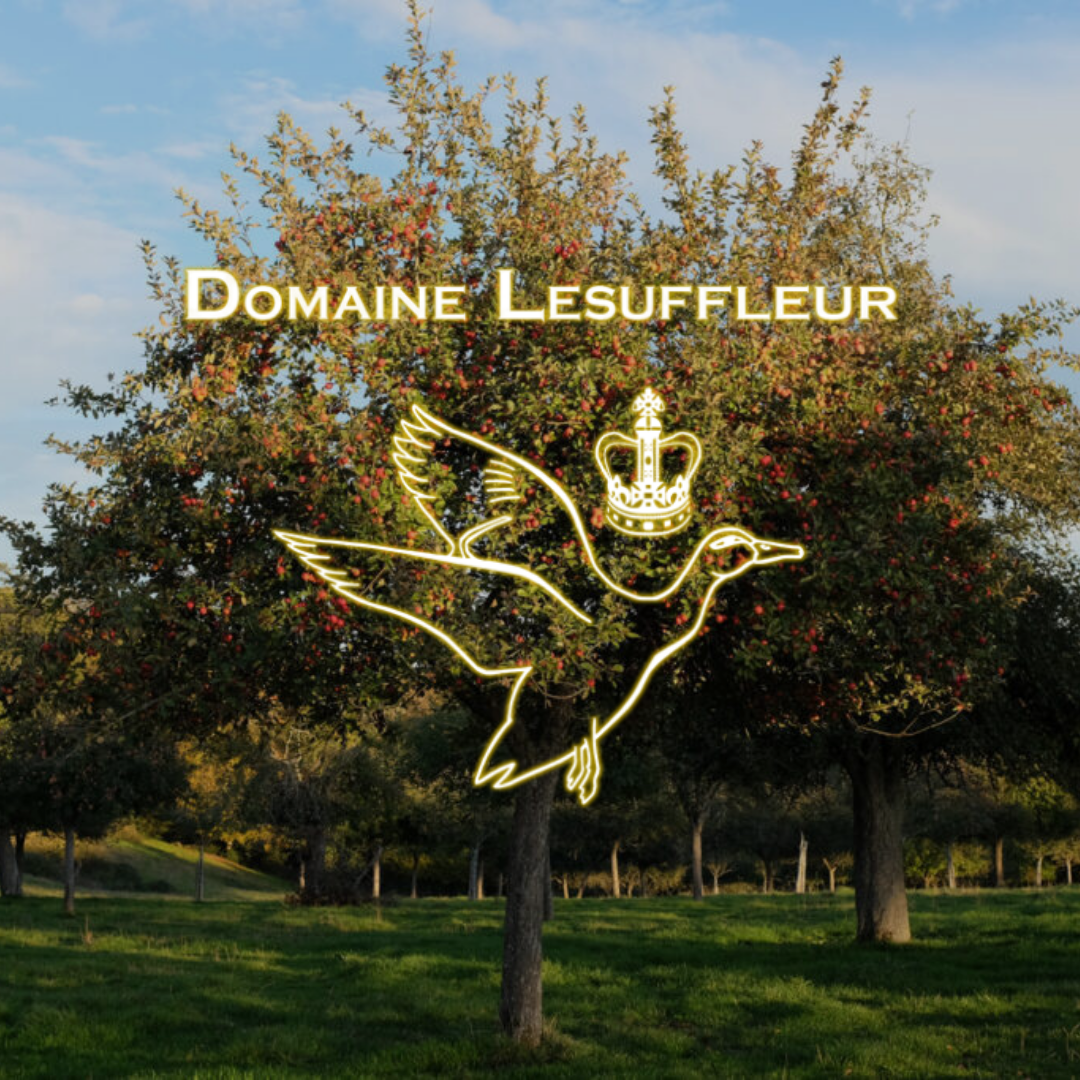 Domaine Lesuffleur Cidre de Normandie