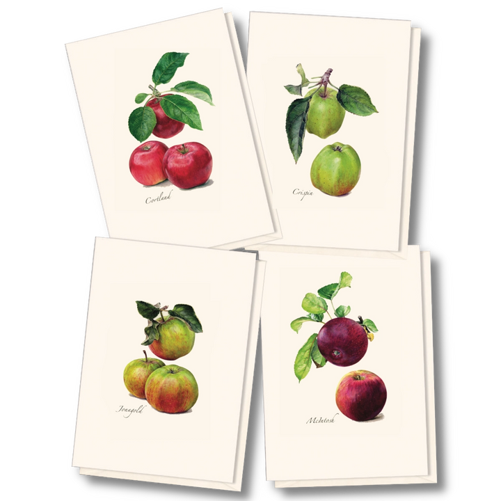 *Cider Apple Greeting Cards | Blank or Add-A-Note