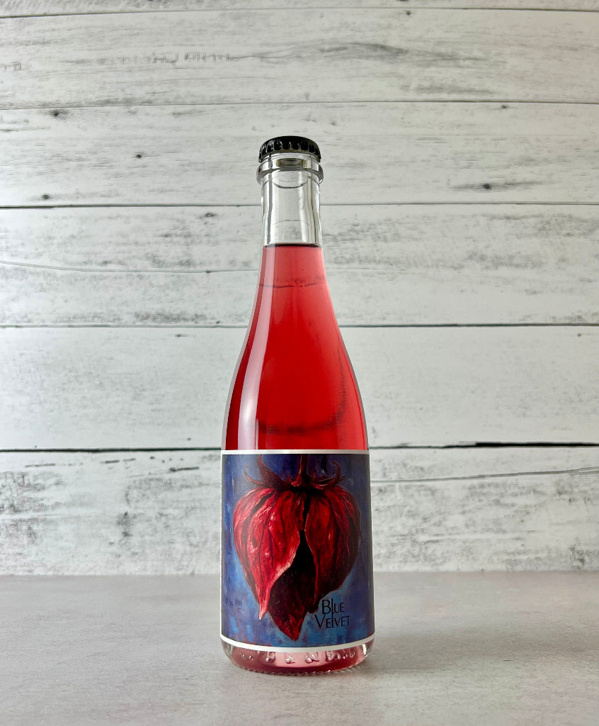 All the Ciders: Every Cider in the Shop