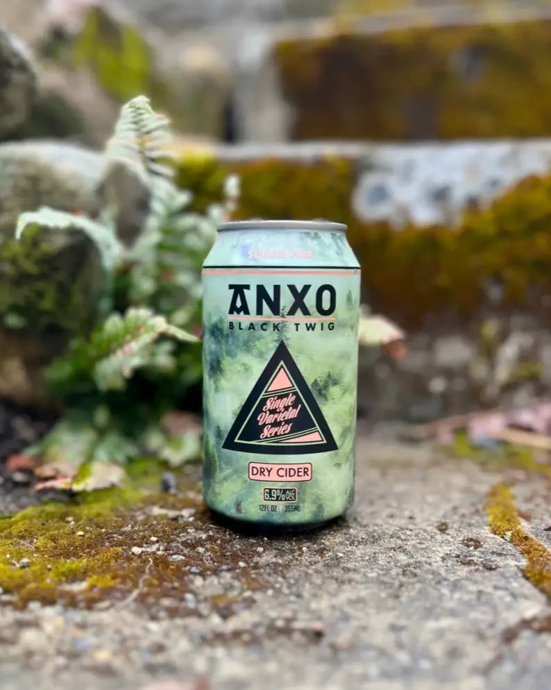 12 oz can of Anxo Black Twig Dry Cider