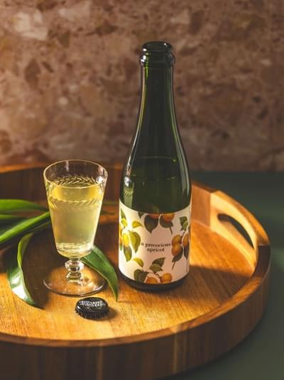 Botanist & Barrel - A Precocious Apricot Cider (375 mL)