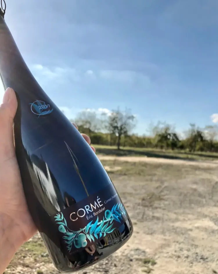 500 mL bottle of Eric Bordelet Cormé cider being held with an apple orchard in the background