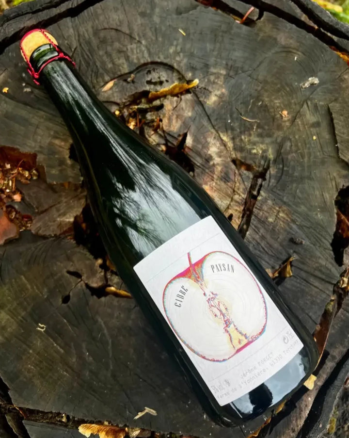 Jérôme Forget - Cidre Payson 2021 Cider (750 mL) - Cider - Jérôme Forget French Cider & Perry Hard Cider